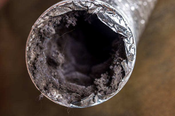 Best Air Duct Cleaning Near Me  in East Milton, FL